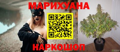 мяу мяу мука Гулькевичи
